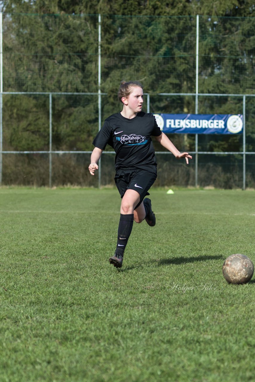 Bild 236 - C-Juniorinnen SV Steinhorst/Labenz - TSV Friedrichsberg-Busdorf : Ergebnis: 5:0